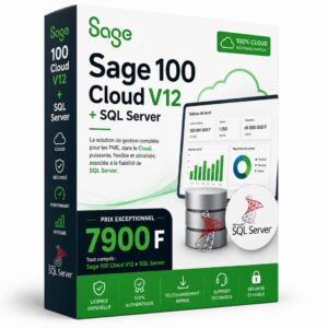 Pack Complet Sage 100C Cloud V12 + SQL Server — Licence Authentique à Vie
